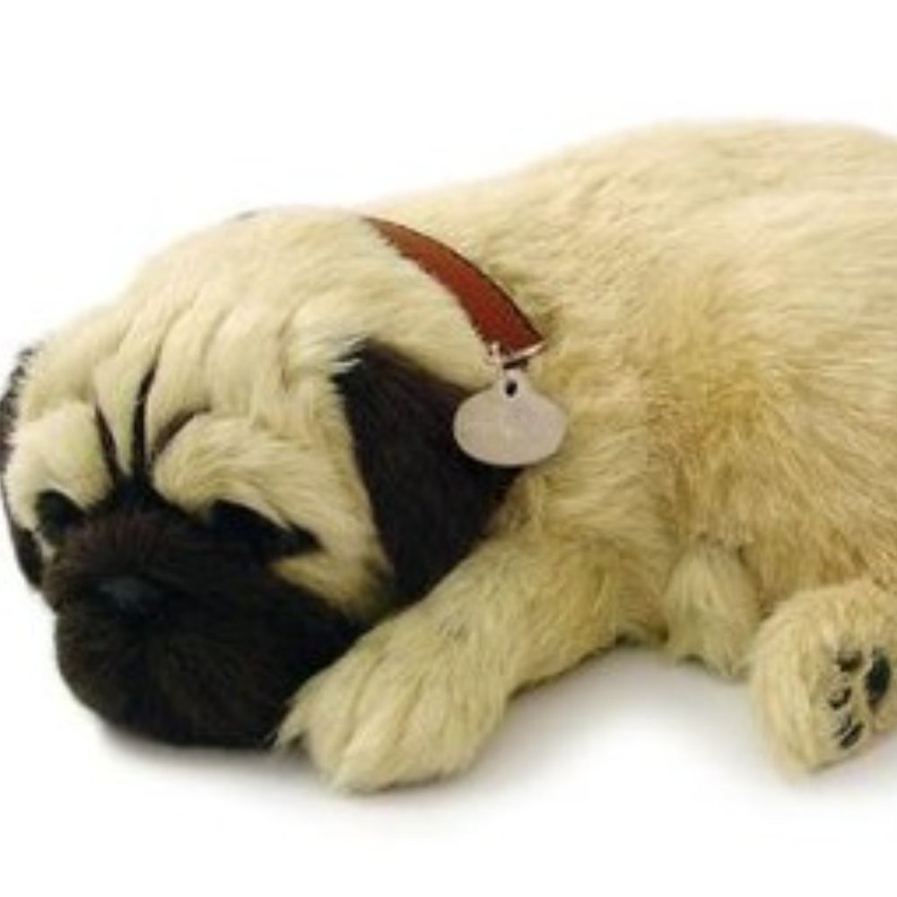 Breathing Pet, Pug - NEW